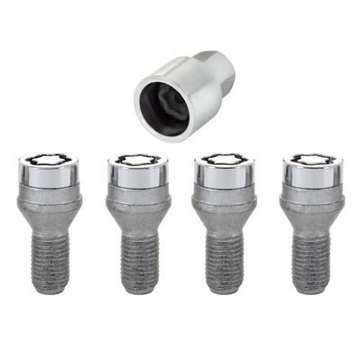 McGard chrome hardware kit