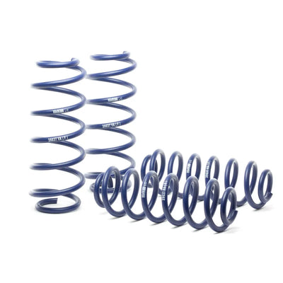 H&R springs