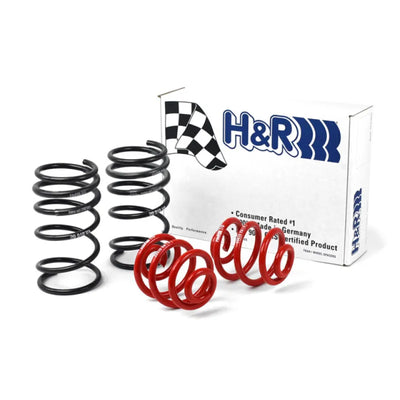 H&R springs