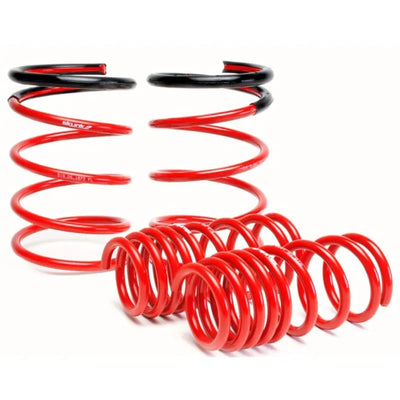 Skunk2 Racing springs