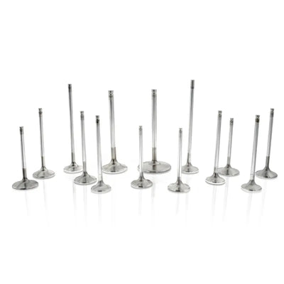 Ferrea Racing exhaust