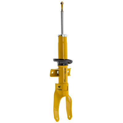 ARB strut brace