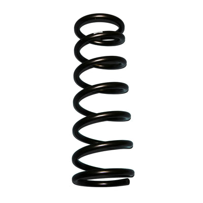 Skyjacker black springs