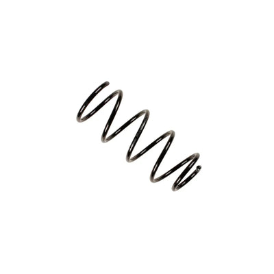 Bilstein springs