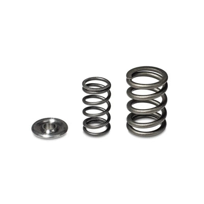 Skunk2 Racing titanium springs