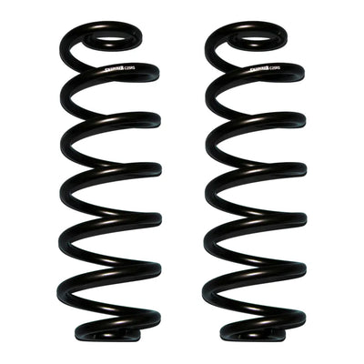 Skyjacker black springs