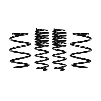 Eibach springs