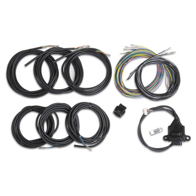 Holley auto part