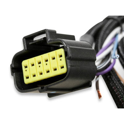Trans Wire Harness Ford 4R70W/4R75W 1998-Up