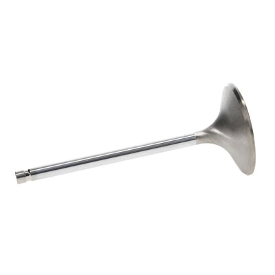 Manley Performance intake system