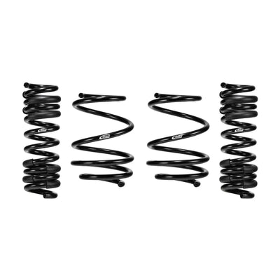 Eibach springs