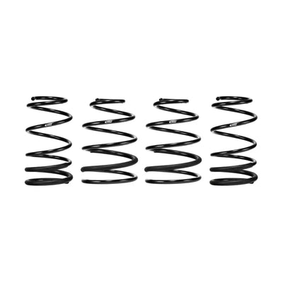 Eibach auto part