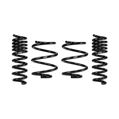Eibach springs