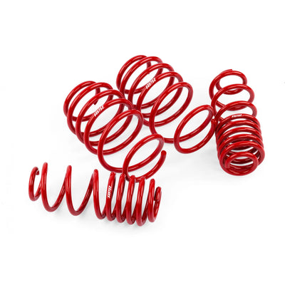 APR Tuning springs