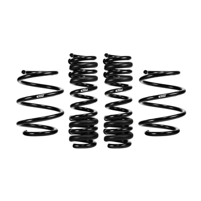 Eibach auto part