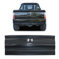 R-GATE F150 2009