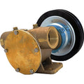 F8B50017 CL. PUMP 1 1/2 NPT 12V 1XB7IN