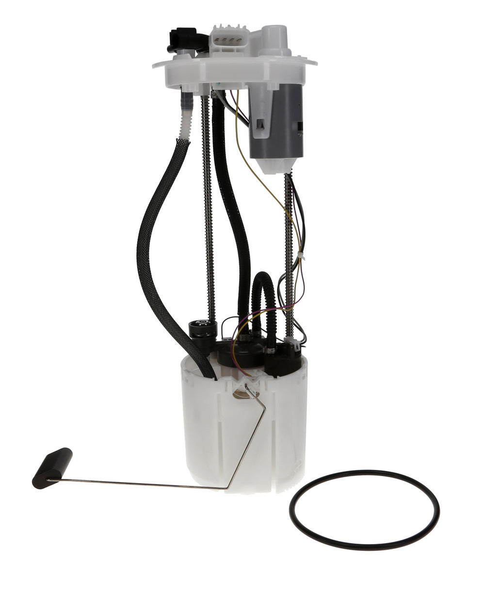 FUEL PUMP MODULE ASSEMBLY