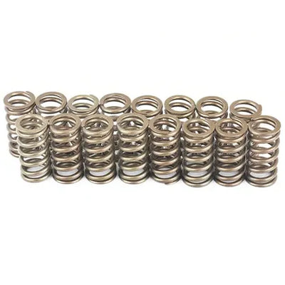 Ferrea 06-08 Audi 2.0L FSI Single Spring Kit