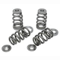RB26DETT Extreme Beehive Springs