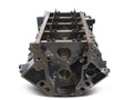 LS Engine Block 9.240 Deck 4.125 Bore