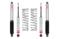 Eibach shock absorber
