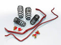 Eibach shock absorber detail