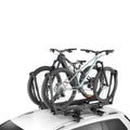 TWO BIKE TRAYS