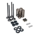 0116 GM 6.6L DURAMAX INTAKE & EXHAUST VALVES & CONICAL VALVE SPRINGS (BEEHIVE)