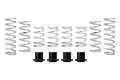 Eibach springs