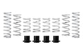 Eibach springs