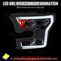 FORD F-150 WHITE AND AMBER DUAL COL