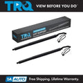 POWER LIFTGATE LIFT SUPPORT