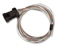 Terminator X Max MPFI Kit LS1/LS6 w/Trans Cont