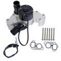 GM LS1 12V HVY DUTY PUMP BLUE