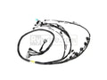 Rywire Honda K24 Tucked Eng Harn w/02-04 K24 Crank/Knock Sensor (Rear VSS Position)