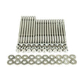 Wagner Tuning 06-10 Volkswagen Passat B6 3.6L R36 Burnished Head Stud Set