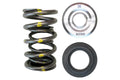 Brian Crower titanium springs