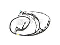 Rywire Honda K24 Tucked Eng Harn w/02-04 K24 Crank/Knock Sensor (Front VSS Position)