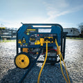 DUAL FUEL PORTABLE GENERATOR 10000/