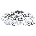 Vertex Polaris Complete Engine Rebuild Kit