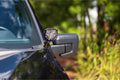 MORIMOTO 4BANGER DITCH LIGHT KIT: 2