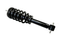 Hella strut brace