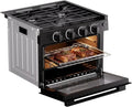 17IN GAS RANGE BLACK
