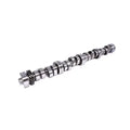 BM-Thmpr 243/257 H-Rolr Cam Ford 352-428