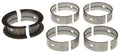 PISTON WITH RINGS
