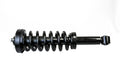 PERFORMANCE LEVELING STRUT - F150 2
