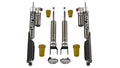 TeraFlex shock absorber