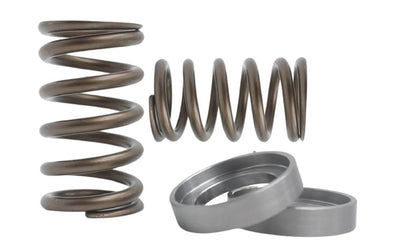 Kelford Cams springs