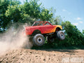 11.25" DANA 80 4.30, REAR RING & PI